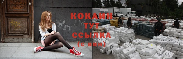 дживик Елизово
