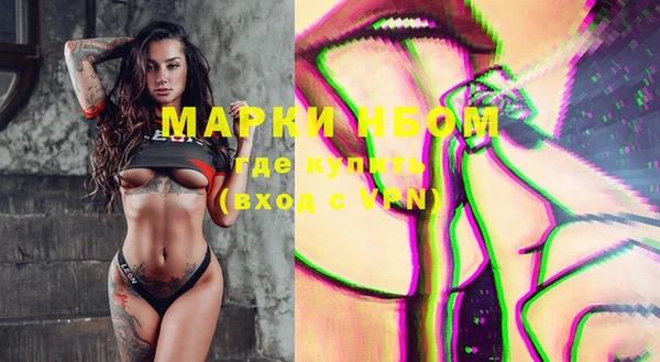 экстази Ельня