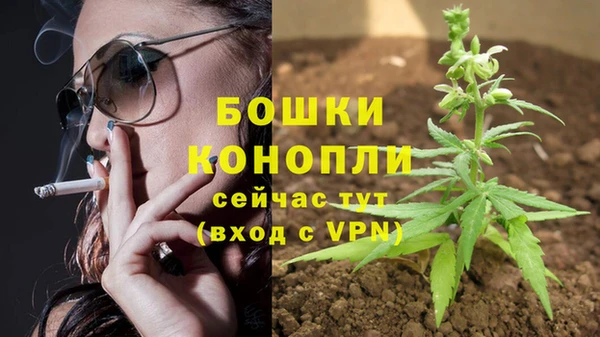 дмт Елабуга