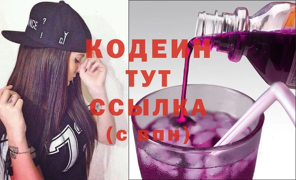 дмт Елабуга