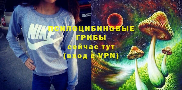 дживик Елизово